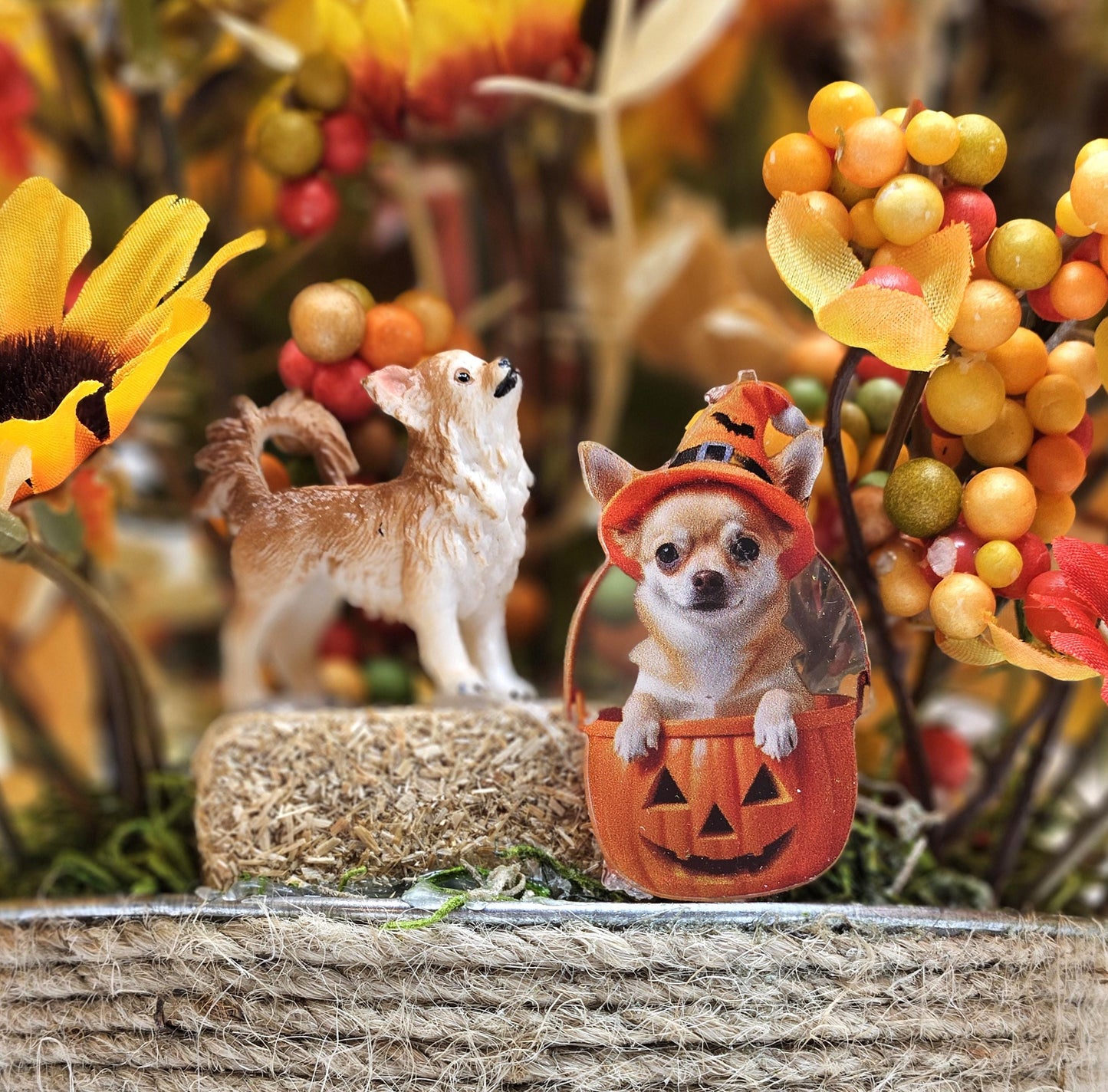 Chihuahua Dogs Amidst Fall Autumn Garden,Red/Orange/Yellow Sunflowers/Leaves/Fall Accents/Chihuahua Lover Gift/Autumn Decor/Nature Lover