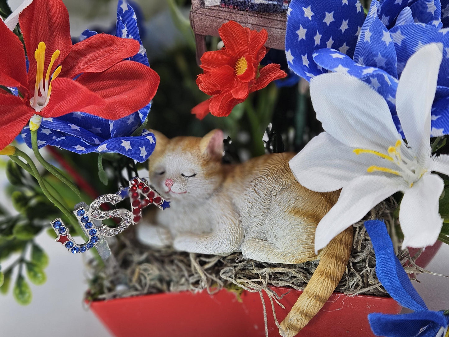 Patriotic Cat Floral Arrangement – Belly-Up Kitten or Lying Cat in Star Dish with Red White Blue Flowers