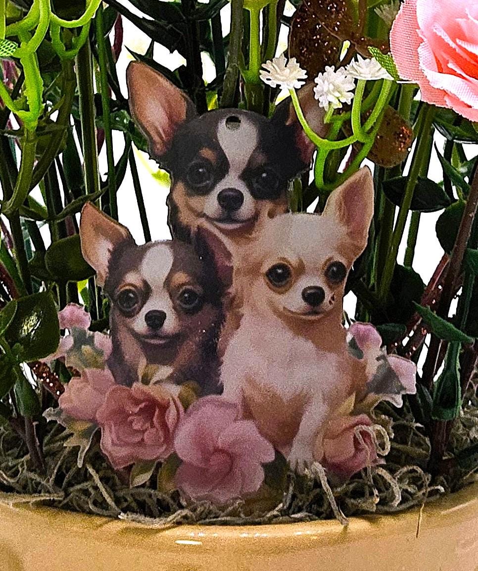 Say It With Flowers/Unique Gifts for Any Occasion/Two Options - Cute Mom/Baby Pig or Adorable Chihuahua Pups/Bithday, Get Well, Love You