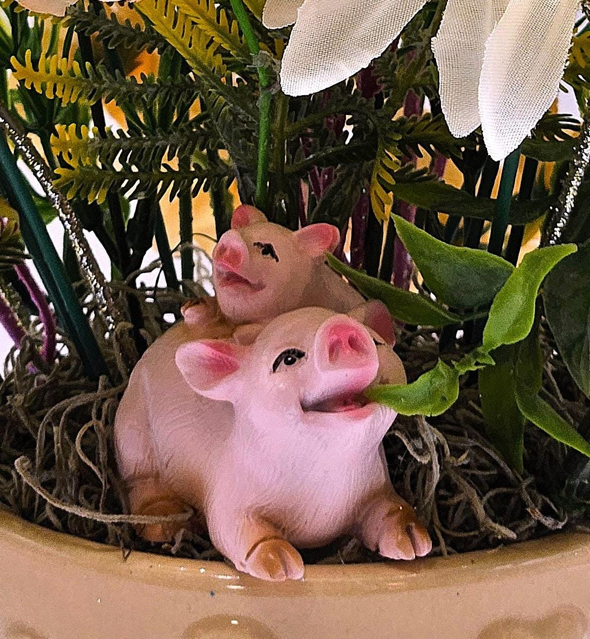 Say It With Flowers/Unique Gifts for Any Occasion/Two Options - Cute Mom/Baby Pig or Adorable Chihuahua Pups/Bithday, Get Well, Love You