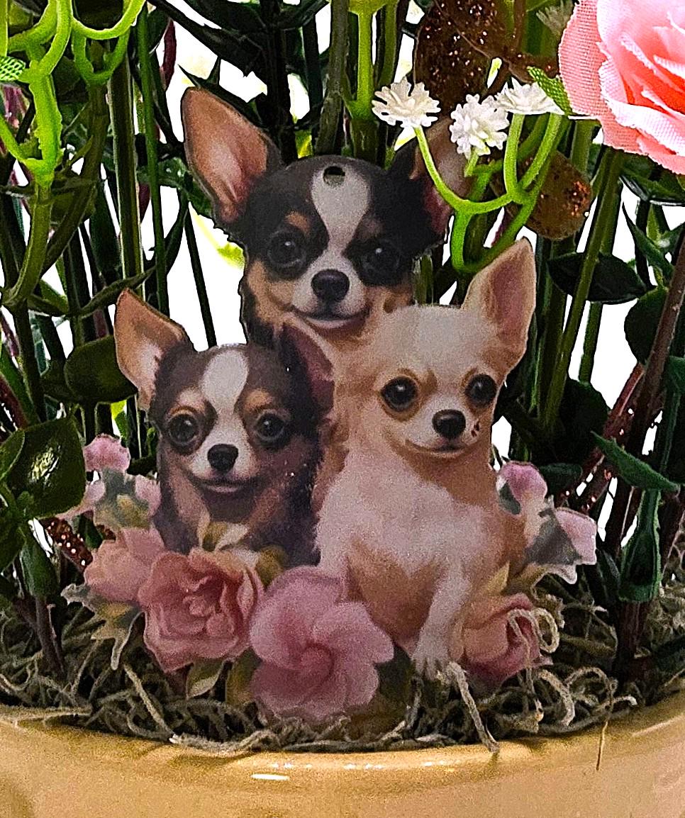 Say It With Flowers/Unique Gifts for Any Occasion/Two Options - Cute Mom/Baby Pig or Adorable Chihuahua Pups/Bithday, Get Well, Love You